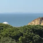 Shellls